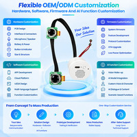 Module IA vocal intelligent AISK avec compagnon émotionnel, chat vocal, interface utilisateur dynamique, solution OEM ODM