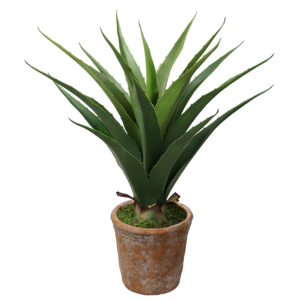 Plantas artificiales <span class=keywords><strong>de</strong></span> Aloe <span class=keywords><strong>Vera</strong></span> para decoración interior, recién llegadas, naturales, <span class=keywords><strong>de</strong></span> fábrica - Product Image 3