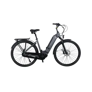 Bicicleta elétrica e bike mid motor 26 ''polegadas tamanho da roda melhor fornecedor de bicicletas