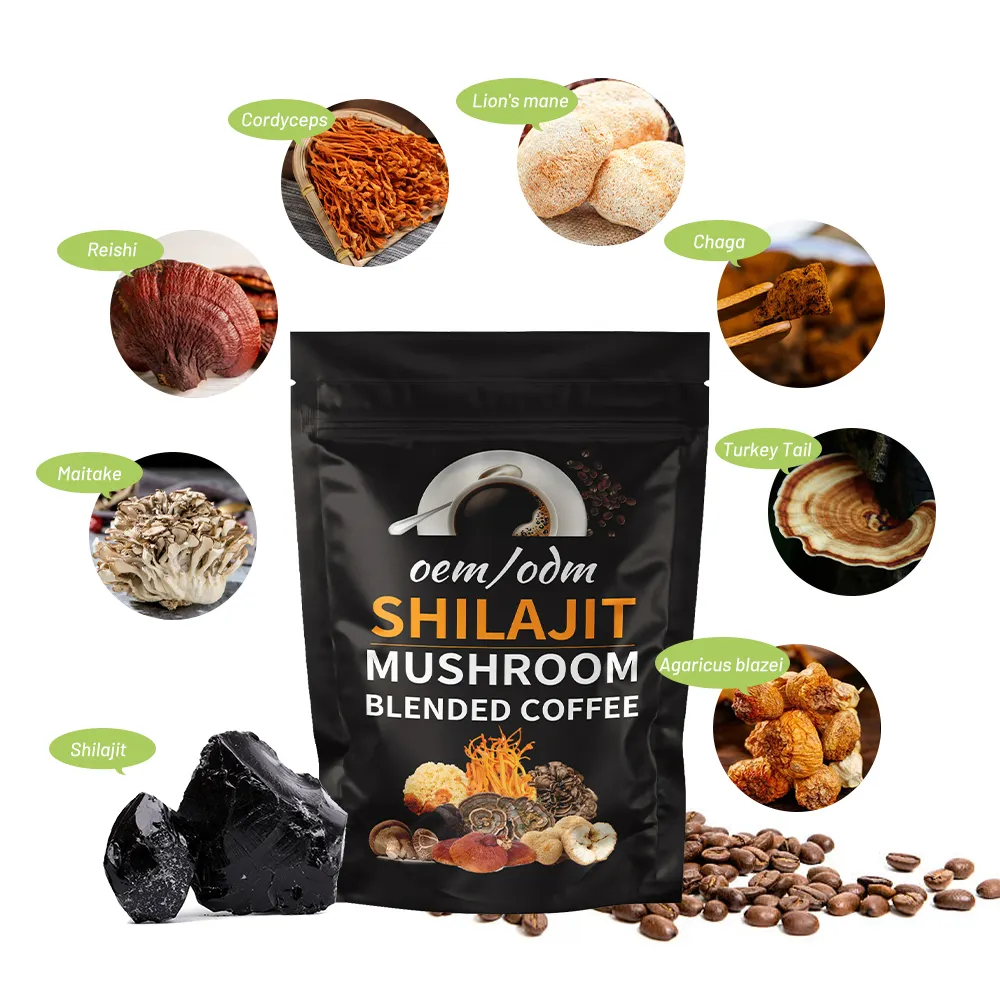OEM Shilajit-Extrakt Pilz Großhandel Einzelhandel Instant Lingzhi gesunder schwarzer Kaffee für Immunsystem-Verstärkung