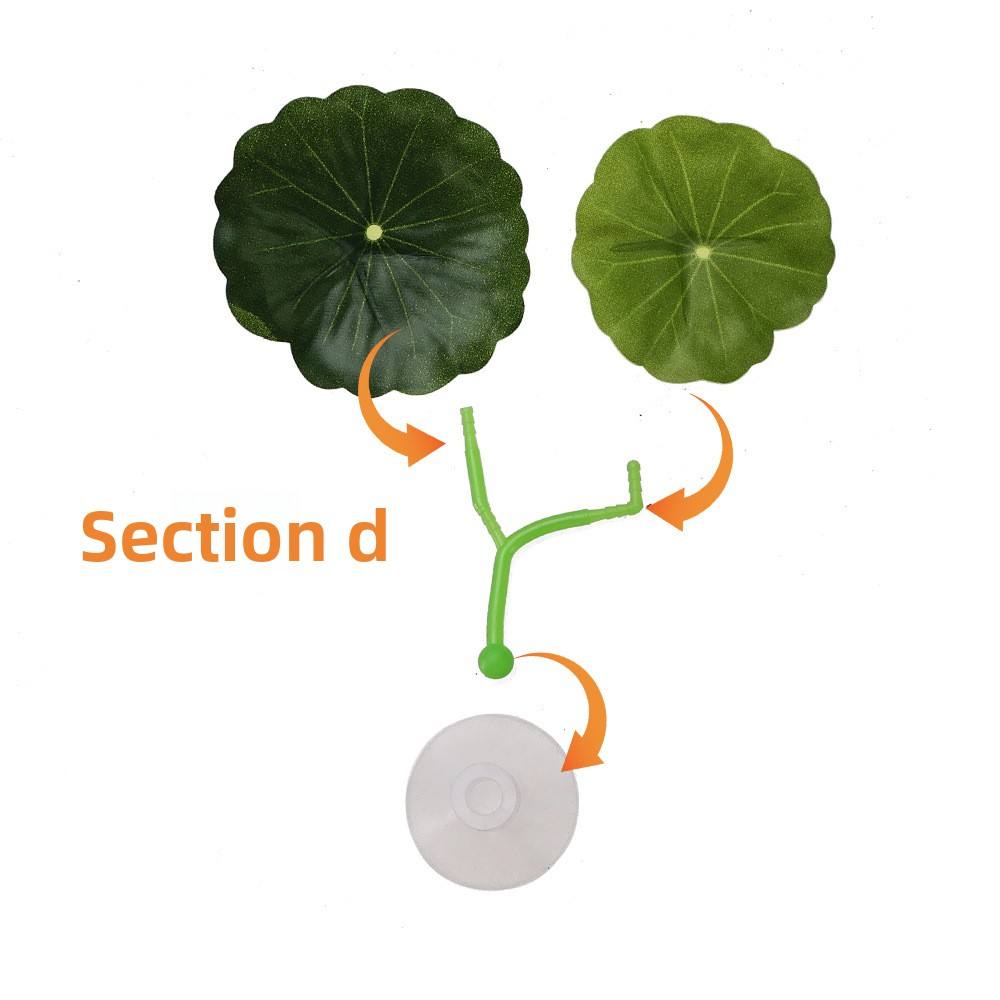 D สีเขียว