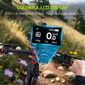 Bicicletta Elettrica da Montagna a 10 Velocità, 48V 17.5Ah, E-MTB con Sospensione Posteriore a Quattro Punti, Motore Bafang Mid Drive, Bicicletta Elettronica per Adulti - Product Image 4