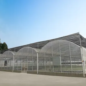 Anti aşırı hava Snoow rüzgar çelik yapı yeşil ev tropikal iklim için hidroponik kış bahçesi sera