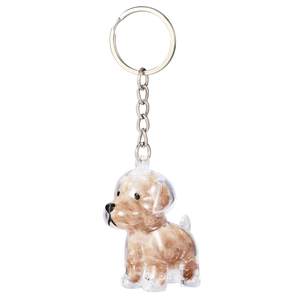 Pendentif porte-clés capsule transparente pour poils d'animaux, souvenir commémoratif, mini pendentif de conservation des poils de chien, style Kawaii - Product Image 1