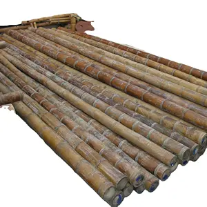 最佳工厂价格热带天气20多年寿命ASA尼龙材料耐用合成人造竹竿
