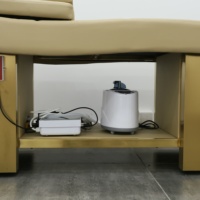 Chaise de massage spa japonais avec spa à vapeur thérapie par l'eau design moderne massage thaïlandais shampooing lit en gros