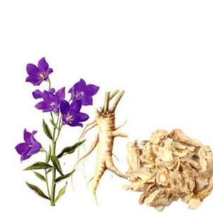 Extrait de racine de Platycodon Grandiflorum 100 % pur de qualité alimentaire en poudre, emballage en fût de 1 kg, vente en gros - Product Image 3