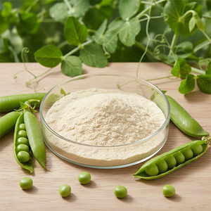 Wholesale Natural Pea <strong>Protein</strong> <strong>Powder</strong> 80% Pea <strong>Protein</strong> - Product Image 1