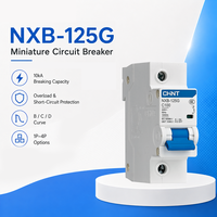 Disjoncteur professionnel CH-INT NXB-125G courbe C 1P 2P 3P 4P 63A 80A 100A 125A pour la distribution d'énergie aux bornes