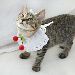 Pañuelo de encaje a cuadros con estampado de cerezas para gatos y perros, accesorios para el cuello de mascotas, venta al por mayor - Product Image 1