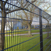 Valla de Alambre Doble Soldada y Galvanizada en Caliente con Recubrimiento Verde para Escuelas