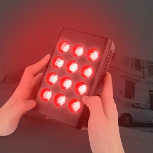 2024 Mini portatile 660nm 850nm vicino all'infrarosso 12x5w pannello di terapia della luce rossa per la bellezza della donna Area mirata