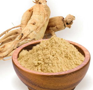 GANOHERB organik <span class=keywords><strong>Ginseng</strong></span> özü tozu, sağlık ürünleri uygulamaları için bitkisel mantar tozu - Product Image 1