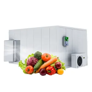 Sala de refrigeración de la marca Hello River para almacenamiento de cámara fría de alimentos de mar para carne y pollo, refrigerador, equipo de cadena de frío