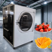 Vriesdroogapparaat, kleine mini-lyofilisator voor thuisgebruik, vacuümvriesdroger voor voedsel, fruit, snoep, koude koffie, melk, bloemen