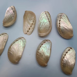 Coquille d'ormeau d'oreille d'âne naturelle pour la collecte d'échantillons, décoration de meubles, porte-<span class=keywords><strong>savon</strong></span> DIY - Product Image 4