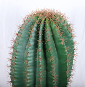 Offre Spéciale <span class=keywords><strong>Cactus</strong></span> Artificiel Faux <span class=keywords><strong>Cactus</strong></span> Plantes Faux <span class=keywords><strong>Cactus</strong></span> Saguaro avec Pot pour Décoration Intérieure et Extérieure - Product Image 4