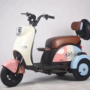 Tricycle électrique chinois en gros 600W 48V, vélo tandem à 3 roues pour personnes âgées, carrosserie ouverte, moteur sans balais, batterie au plomb-acide - Product Image 3