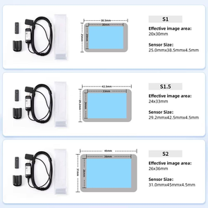 Sensor de Rayos X Intraoral Digital USB de Alta Definición para Radiografía Dental y Veterinaria, Venta al Por Mayor - Product Image 3