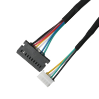 كابل LVDS موصل HSG PHSD 30P A2545-2*10P LHE 5264-5U بعزل PET، تصنيع حسب الطلب (OEM/ODM) لتطبيقات الكمبيوتر، مجدول ومطلي بالفضة