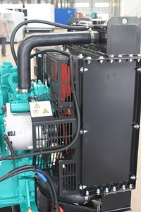 Genuine Engine Radiator Water CE/ISO Compliant Generator Spare Parts for Models 4BT3.9 4BTA3.9 6BT5.9 6BTA5.9 6BT5.9 6BTA5.9 6CT - Product Image 3