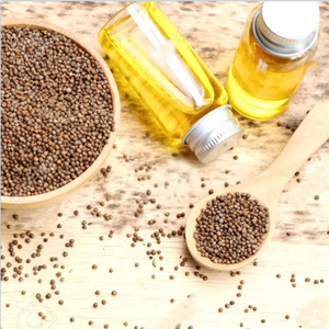 RICHTEK Perilla Seed Extract Omega 3 Alpha linolenico Acid Pure Cold Press olio di semi di Perilla - Product Image 2