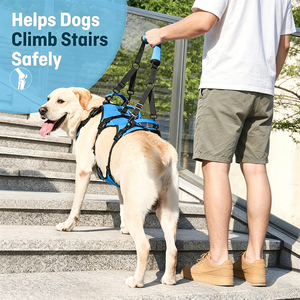 Pet Dog Lift Harness Support Sling for Arthritis Elderly Joint Injury Dogs Rehabilitation Recovery <b>Walking</b> Helper Lift Harness - Product Image 4