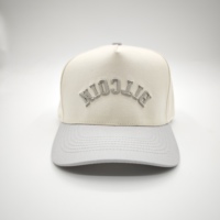 Casquette de baseball classique personnalisable à 5 panneaux en tissu Oxford Terry Dobby, visière incurvée réglable, logo brodé en 3D, broderie à la main motif fruits