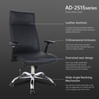 Fauteuil de Direction en Cuir Ergonomique avec Accoudoirs 3D – Vente en Gros