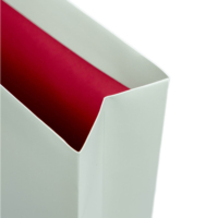 Eco-Friendly Thick Paperboard Gift Bag Custom Printed with Long Cotton Rope Handle