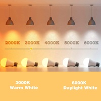 Ampoule LED JESLED A19 13W Ampoule LED A60 Ampoule à lumière vive 1300LM Culot standard E26 E27 CRI 85+ Sans scintillement Certifié CE ETL