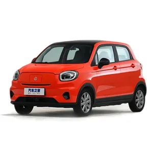Wholesale Fine Quality Adult 4 Wheel Electric Car Supplier New Energy Vehicle