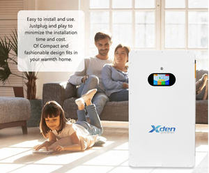 10KWh 5KWh 2.5KWh 2KWh ระบบพลังงานแสงอาทิตย์1000วัตต์สำหรับบ้านและกลางแจ้งแบตเตอรี่ลิเธียม100AH BMS ในตัว - Product Image 2