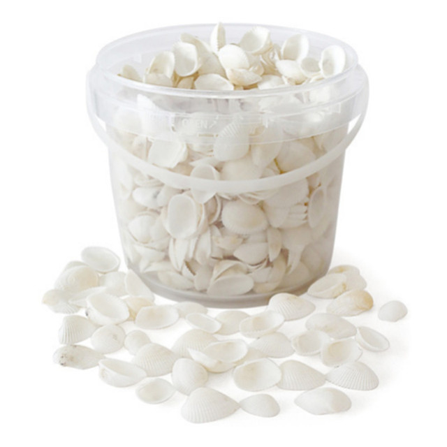 Eco-friendly Organic Natural White Shells for Seashell Crafting Home Decorating Holiday Wedding Favors and Love Decor 2.5kg