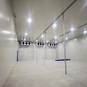 حاوية تبريد بطول 6 أمتار وسعة 28 متر مكعب، 20 قدمًا، غرفة تبريد للتخزين مع ضاغط كوبلاند وعلبة تروس ومحامل لتخزين اللحوم والأسماك - Product Image 1