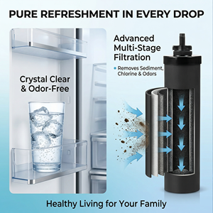 Fournisseur direct d'usine, compatible avec le <span class=keywords><strong>filtre</strong></span> à <span class=keywords><strong>eau</strong></span> de comptoir <span class=keywords><strong>Berkey</strong></span>, cartouche filtrante BB9-2, charbon actif - Product Image 2