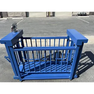Báscula para Ganado USA Measurements US-BC7120HD Big Blue (1,000 lb X 0.1 lb) - Product Image 2