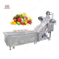 Verse Stekelige Peer Was-En Sorteersysteem Tomaat/Aardbei Reinigingsmachine Luchtbel Aardbei Wasmachine