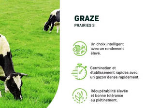 Plante vivace ray grass 15 kg prairie herbe jardin truie sac plante Kit herbe truies pâturage intensif foin fourrage planteurs pour sol en utilisant - Product Image 5