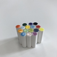 Mèches en céramique à haute absorption pour diffuseur d'arômes de voiture, bâtonnets en céramique colorés