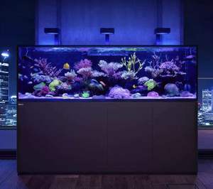 Israel 'S Moderne 220V Stille Plug-Play Reefer <span class=keywords><strong>Max</strong></span> <span class=keywords><strong>Aquarium</strong></span> Milieuvriendelijk Koraal Zeevis Tank Rechthoek Voor Gebruik In De Woonkamer Verpakt - Product Image 6