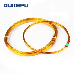 Produsen OUWEI kapton ditutupi kawat untuk micro elektronik