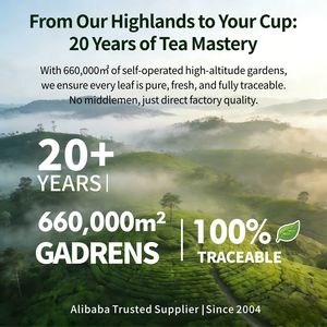 Té Verde de Sichuan en Forma de Aguja, Hojas Sueltas, Primera Cosecha de Primavera, Tostado a Mano, Saludable y Adelgazante, Bolsa de 1000g - Product Image 4