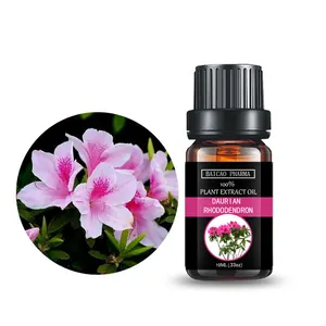 Tinh Dầu Của Rhododendron Rất Giàu Dầu Hương Vị GMP Của Chiết Xuất Thực Vật Hồng Sơn