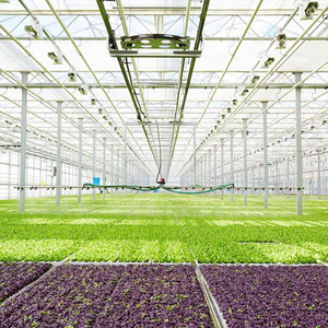 Invernadero Agrícola Multi-Span de Skyplant, Estructura Tipo Venlo con Gran Cubierta de Vidrio - Product Image 3