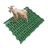 Nouveau plancher de mouton et de chèvre en PP double renforcé de 600x500mm pour ferme de moutons ou de chèvres avec matière plastique durable
