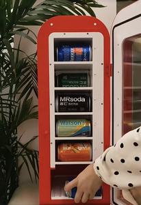 Mini nevera de refrigeración Vintage de 220V, refrigerador <span class=keywords><strong>Retro</strong></span> de 12V para oficina, casa de campo, Enfriador de coque de dieta de temperatura única, Sprite 1st MOQ - Product Image 6