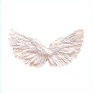 Fabbrica di grandi dimensioni per adulti arcobaleno piume d'<span class=keywords><strong>angelo</strong></span> motivo tinto per Halloween - Product Image 5