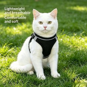 Ensemble laisse et harnais pour petits chiens et chats, rubans en nylon écologiques réfléchissants lumineux, décoration anti-casse, design respirant - Product Image 5