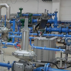 Régulateur piloté Emerson fiable Fisher LS200 LS220 LS250 prix du régulateur de pression de gaz naturel basse pression - Product Image 6